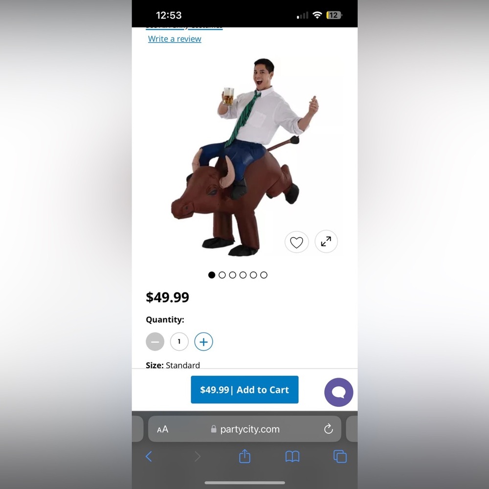 Adult Inflatable Bull Rider Costume